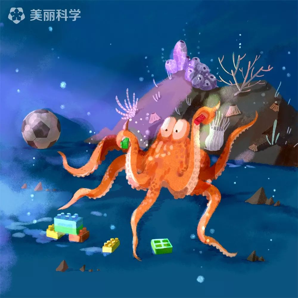 探索海洋智慧，章鱼足球比赛直播的奇妙之旅