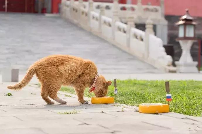教师风采 第217页