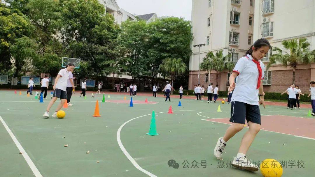 今日竞彩足球胜平负结果查询最新指南