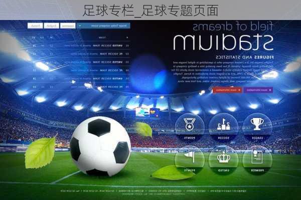 足球巴巴，探索足球激情的官方网站首页之旅