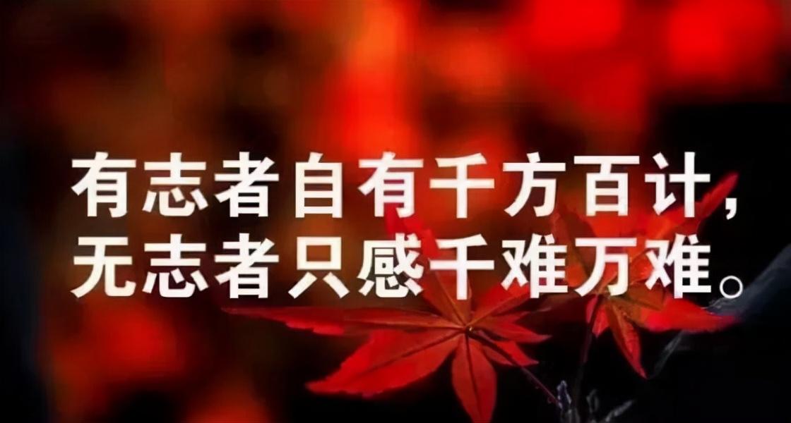 竞彩足球，胜平负与让球胜平负的深度解析与推荐策略