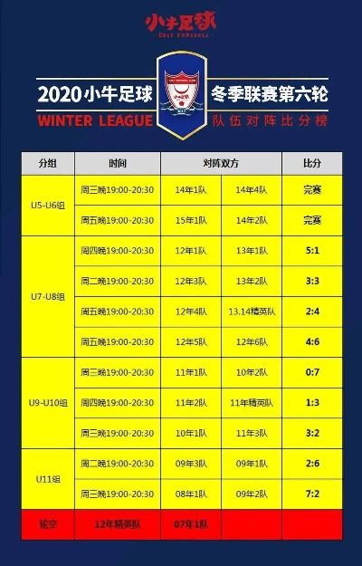 竞彩新浪，足球即时比分的魅力与挑战