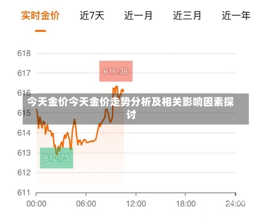 黄金现货今日价格，市场动态与投资策略分析
