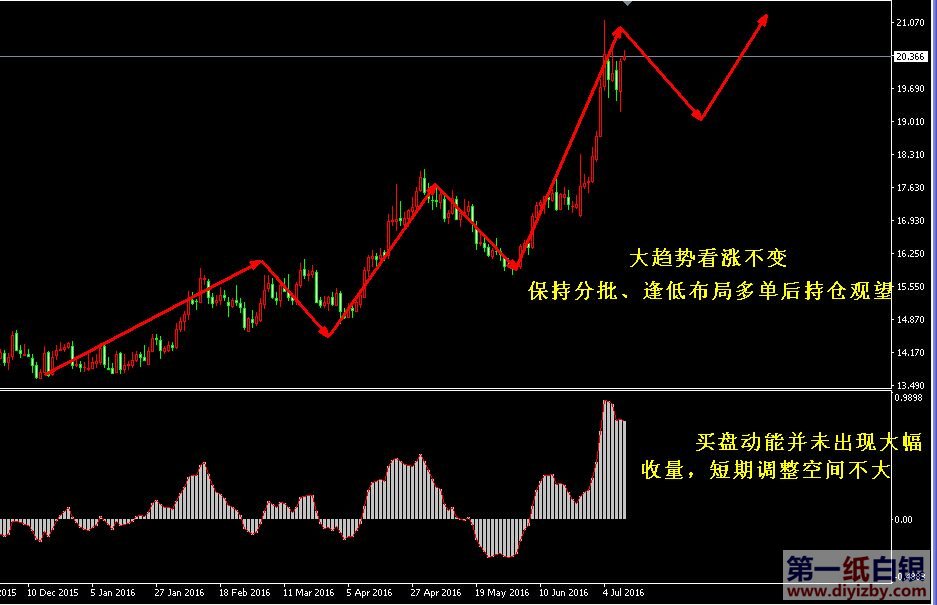 纸白银，投资新宠与市场动态解析