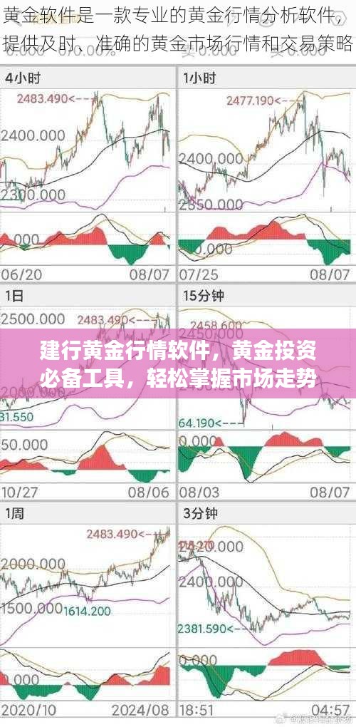 探索黄金市场，揭秘查看大盘金价的必备软件
