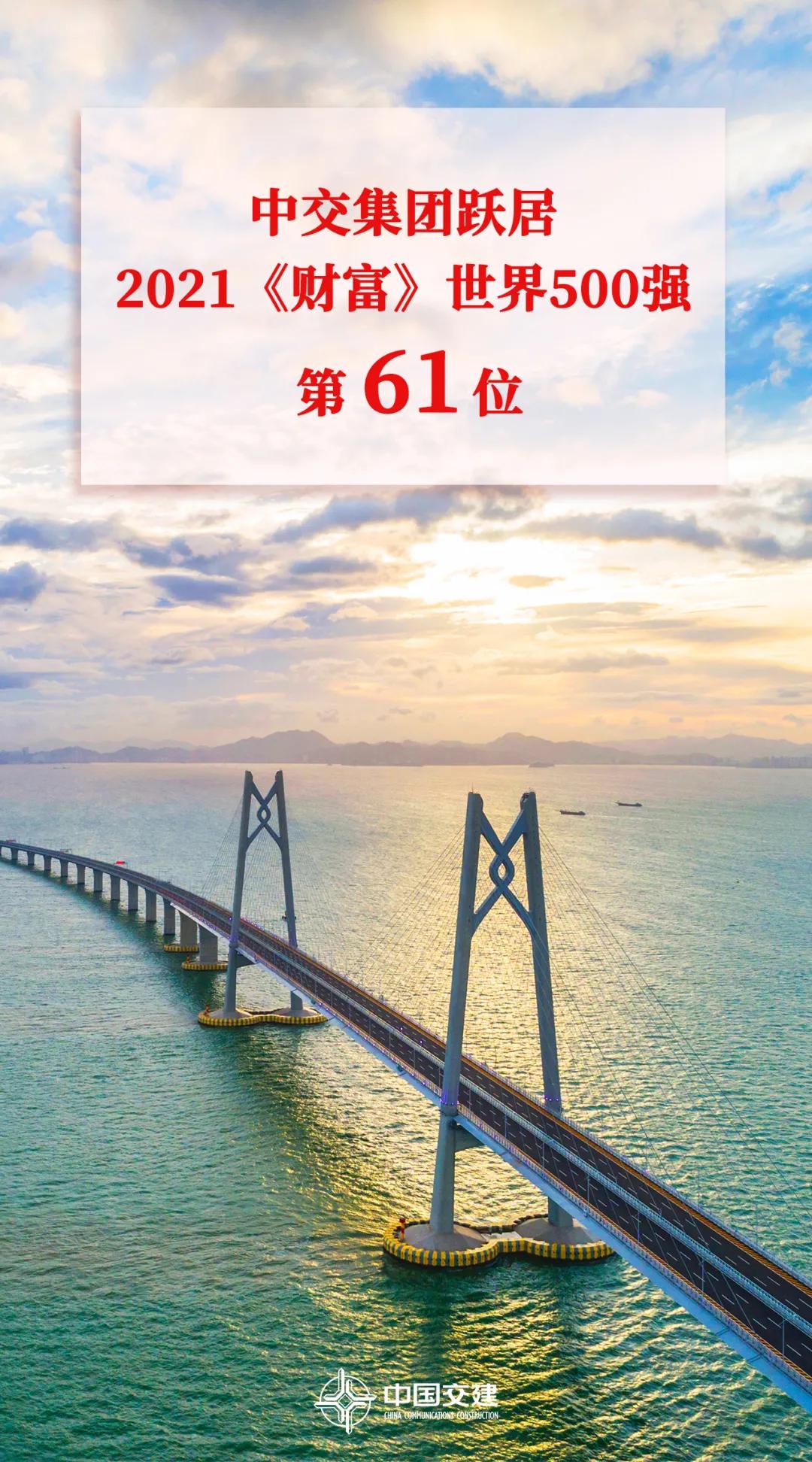 美元今日走势，全球货币动态的晴雨表