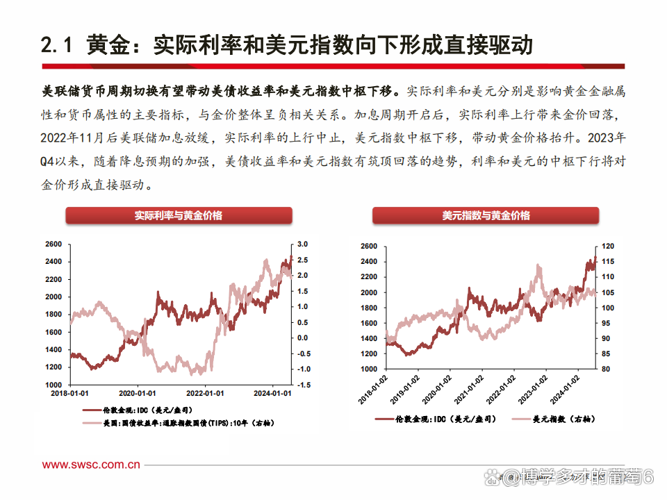彩金价格，2024年市场动态与投资分析