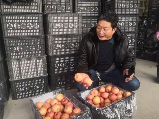 今日农行黄金回收价格，市场动态与投资考量