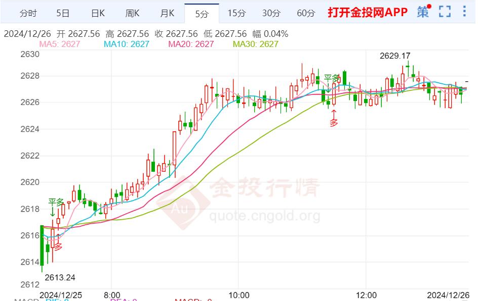 今日上海黄金价格，透视黄金市场的黄金时刻