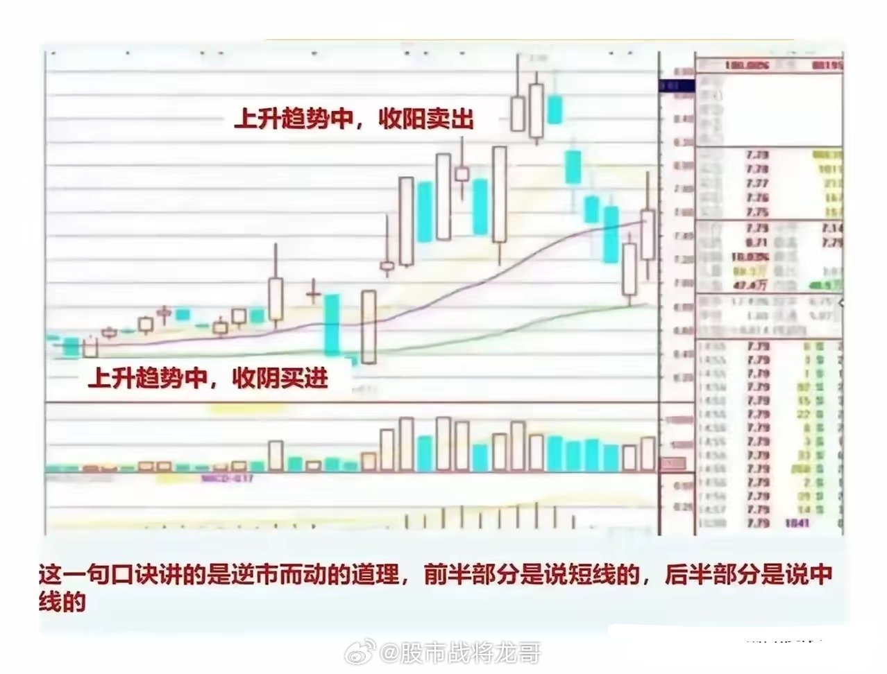 今日股市实时行情最新，波动中的机遇与挑战
