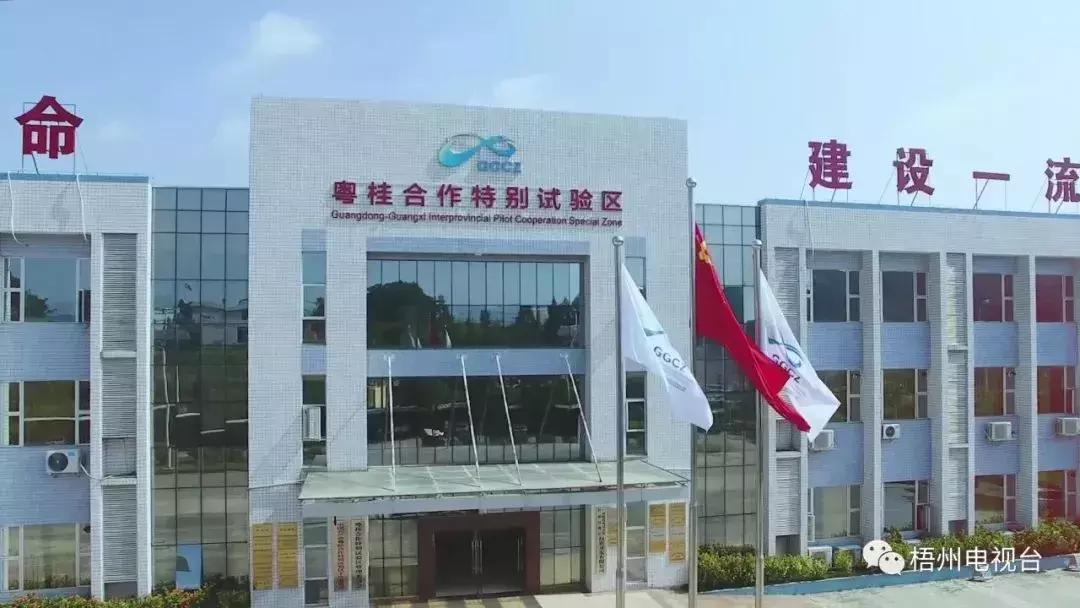 今日中国黄金回收价格查询，洞察黄金市场的脉动