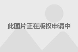 今日92号汽油价格，市场动态与消费者影响