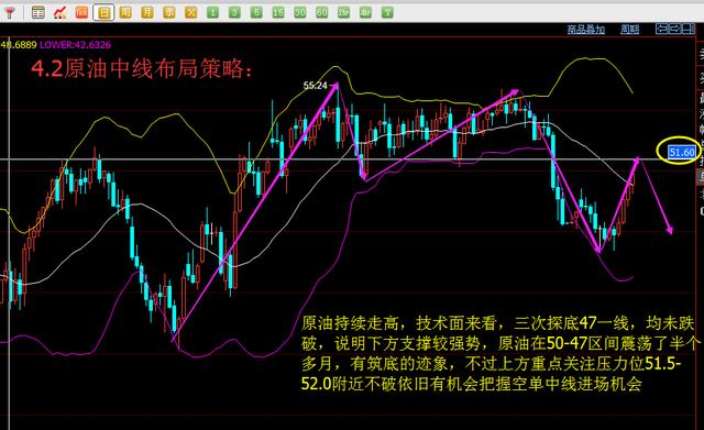 最新金投网资讯，全球金融市场动态与投资策略分析