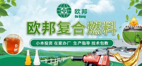 宁煤集团植物油燃料加盟，绿色能源新选择，共创未来财富之路