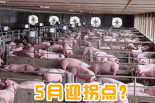 影响因素