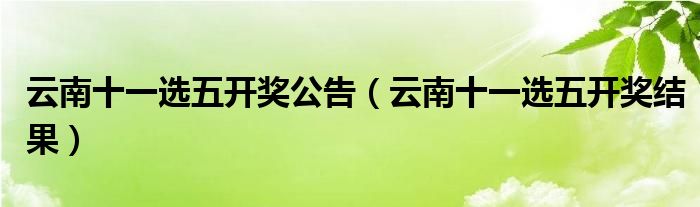 广州市十一选五开奖，揭秘背后的故事与影响
