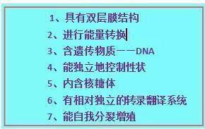 2036年澳门一码精准资料，揭秘未来趋势与预测澳门一肖一码期期准精选默认版诀