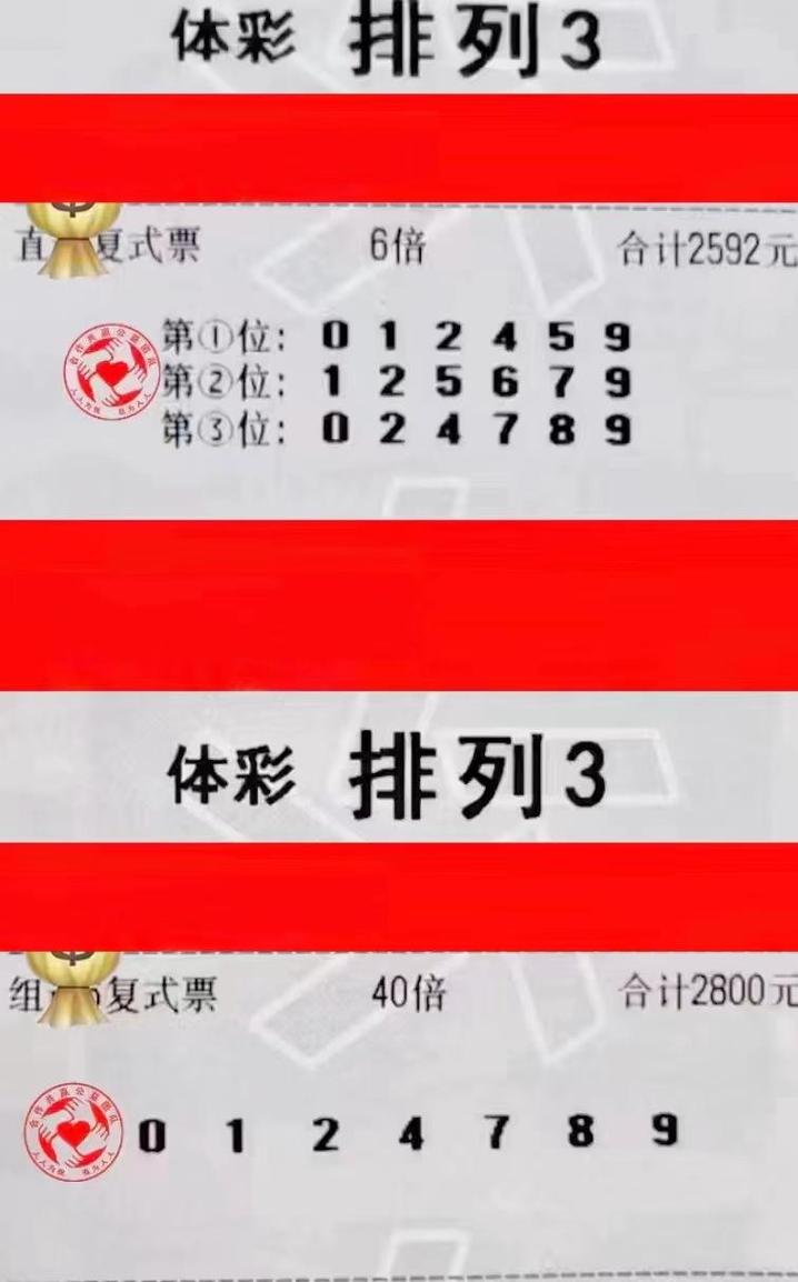 排列三排列五双彩论坛，数字游戏中的智慧与策略