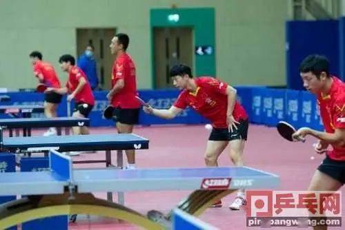 体育5台直播乒乓球，激情与技巧的完美碰撞