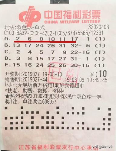 山东福彩双色球开奖查询，揭秘幸运背后的数字游戏