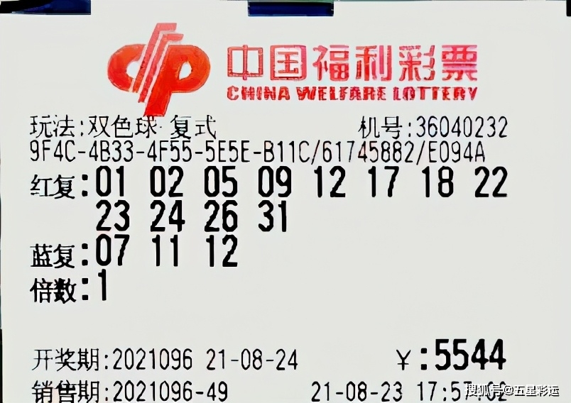 探索上海选四彩票的最新开奖号码，理性与幸运的交织