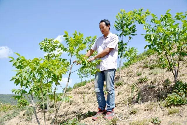 左邻右舍，那些温暖而平凡的时光