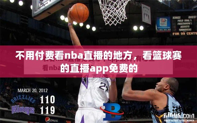 篮球迷的福音，免费观看篮球比赛直播的绝佳平台