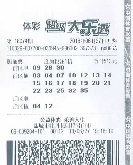 彩经网大乐透基本走势图电脑版，深度解析与实用指南