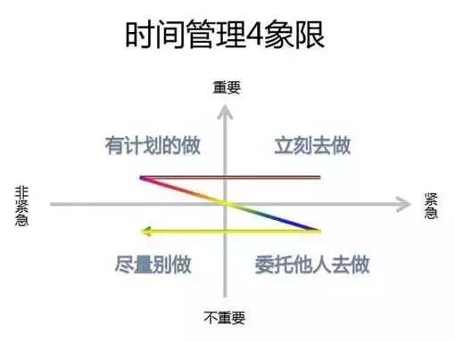 双胆两天计划王，高效时间管理的秘诀