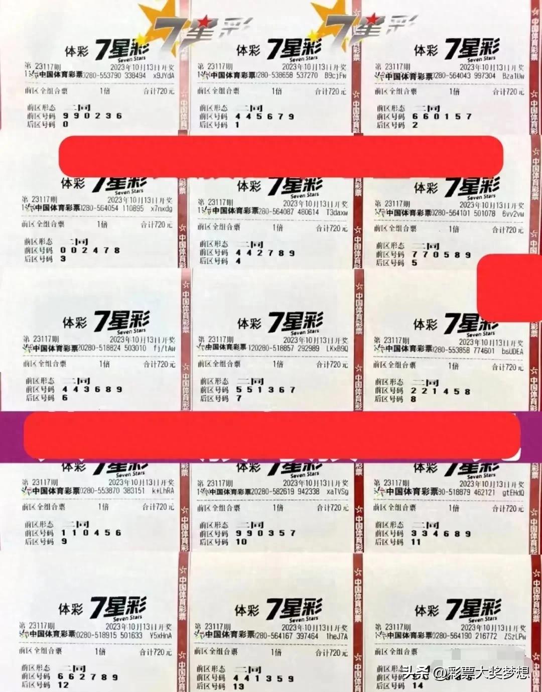今日体彩36选7开奖结果揭晓，揭秘幸运数字，共赴梦想之约