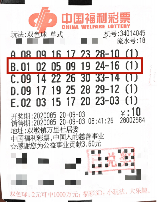 探索双色球，胆拖机选号码投注的奥秘