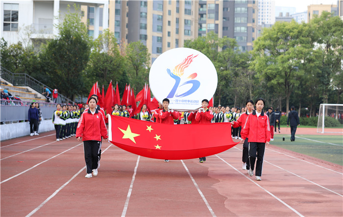 探索创意的视觉宝藏，素材图片图库的无限可能