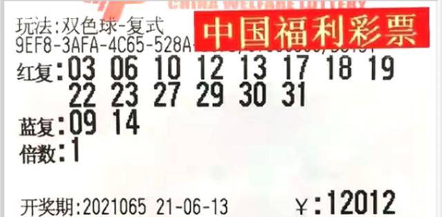 探秘双色球132期，揭秘开奖结果与选号技巧