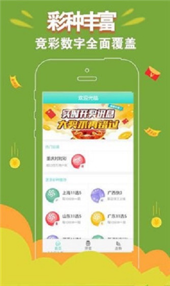 竞彩足球彩票网，足球迷的智慧选择与风险考量