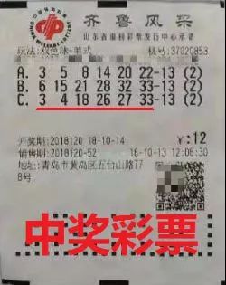 今日双色球开奖号码查询，揭秘彩票背后的数字游戏