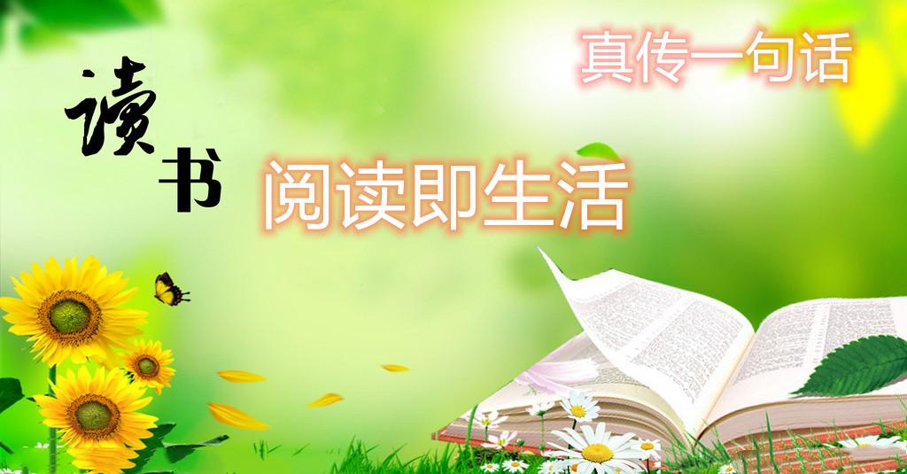 3D基本走势图连线专业版240期，深度解析与专业应用