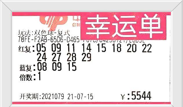 最新体彩开奖结果揭秘，揭秘数字背后的幸运与期待