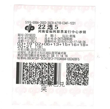 河南22选5，揭秘选号技巧与中奖秘籍