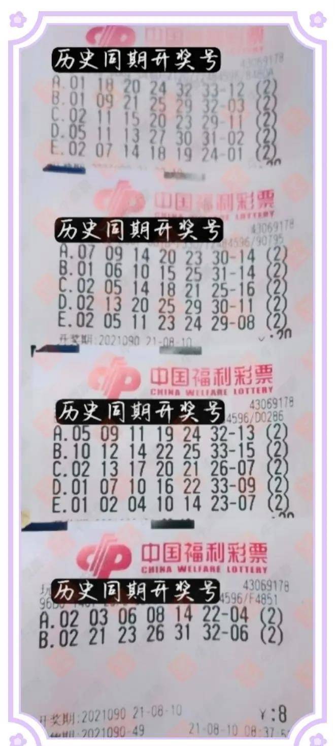 2021117双色球联销图，揭秘彩票背后的数字游戏与幸运之谜