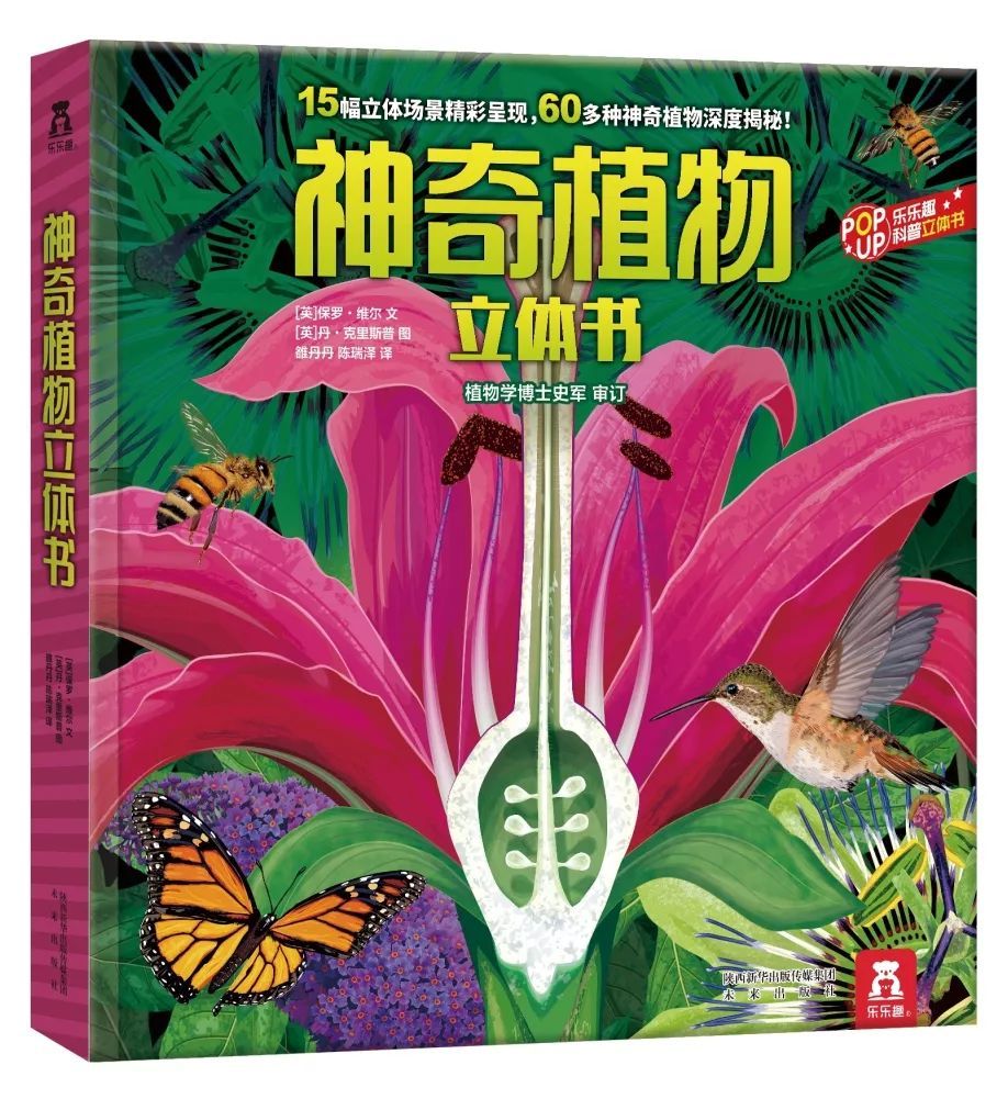 数字奇妙世界