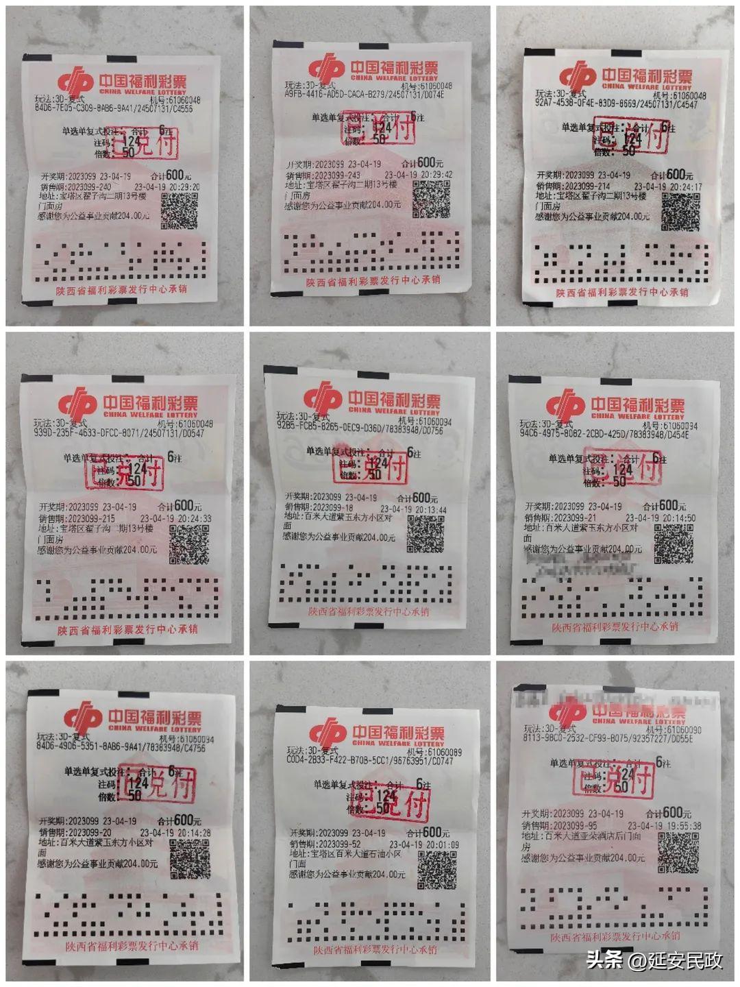 千禧3D试机号，关注码与金码的深度解析