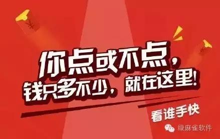 今日买马开奖结果，一场关于幸运与期待的盛宴