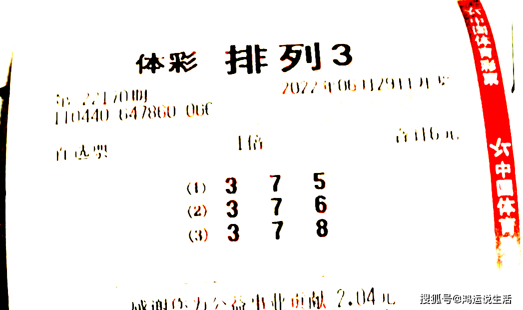 排三字谜总汇，蜂巢里的智慧与乐趣