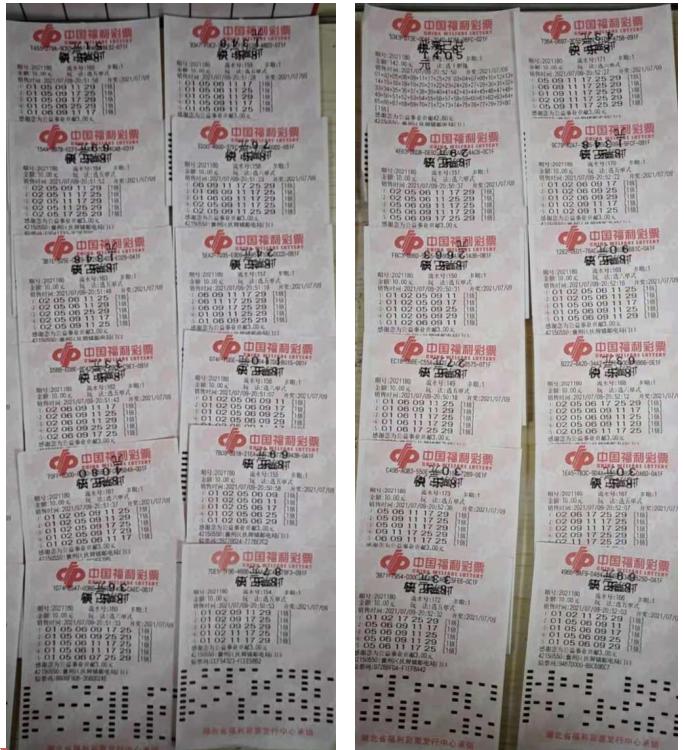双色球胆拖策略与中奖奖金计算器最新版，解锁您的幸运密码