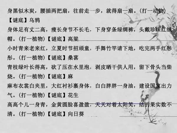 探索太湖乙种与值谜的奥秘，一场文化与智慧的双重解密