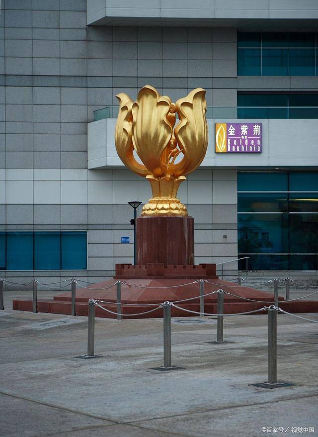 探秘香港金多宝，历史开奖记录与文化传承