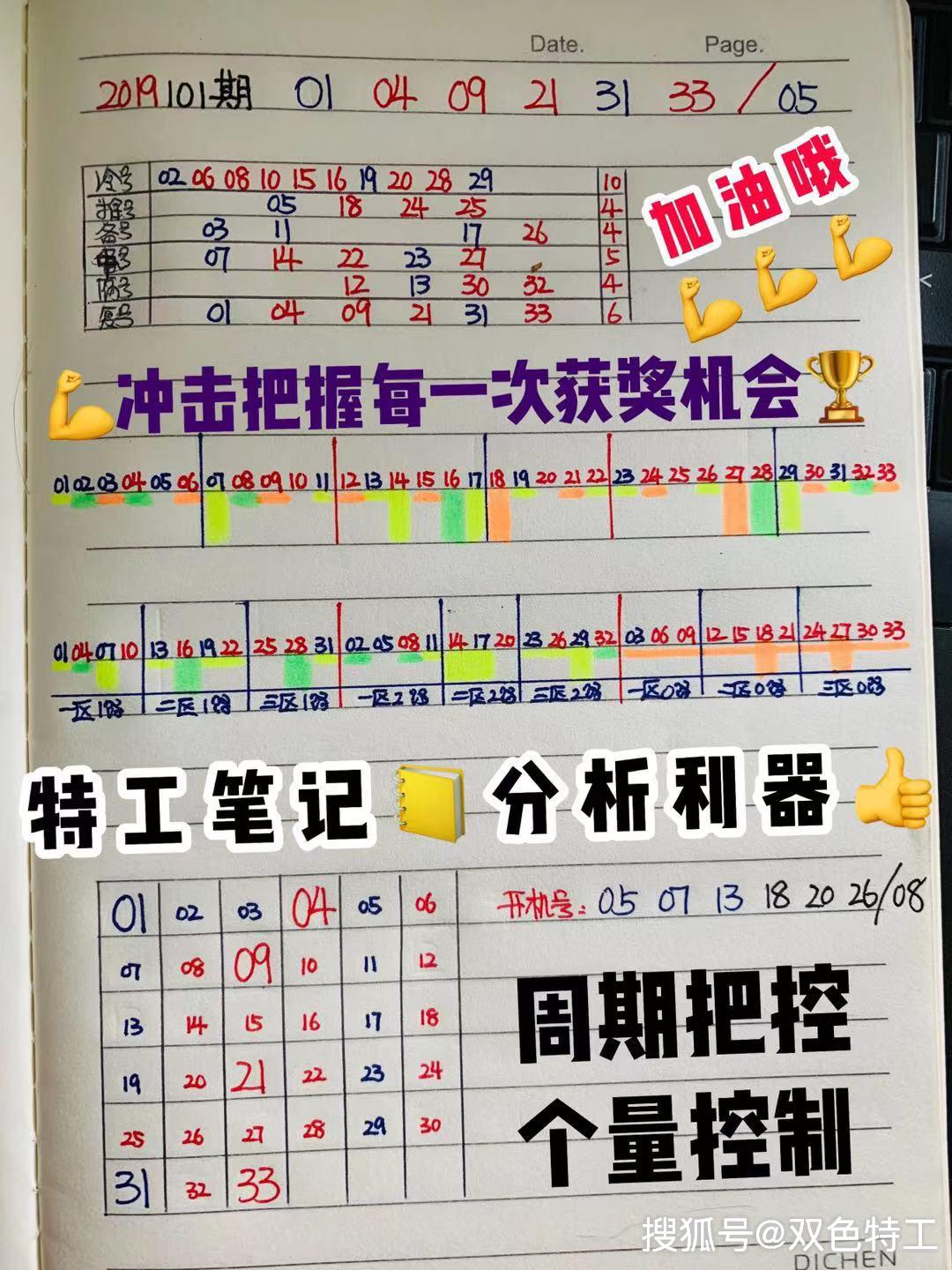探索双色球天天走势，数字背后的奥秘与策略