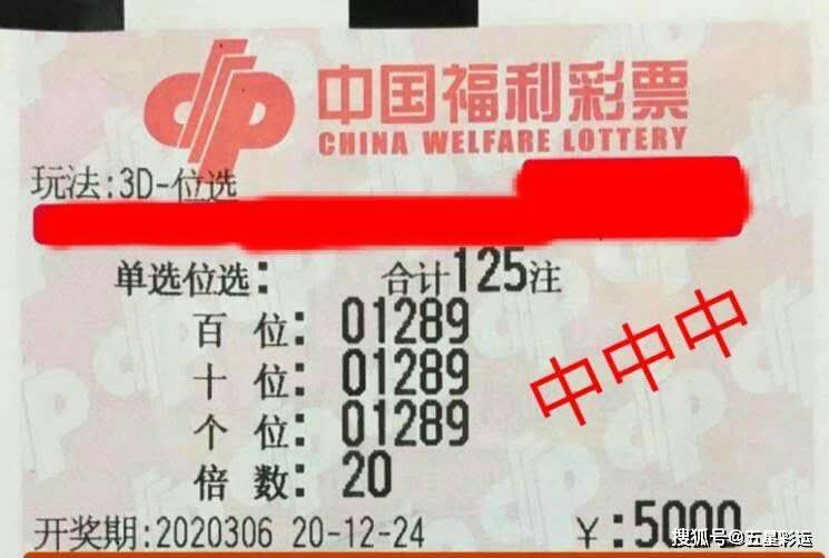 揭秘3D彩票中奖秘籍，科学选号与理性投注的智慧