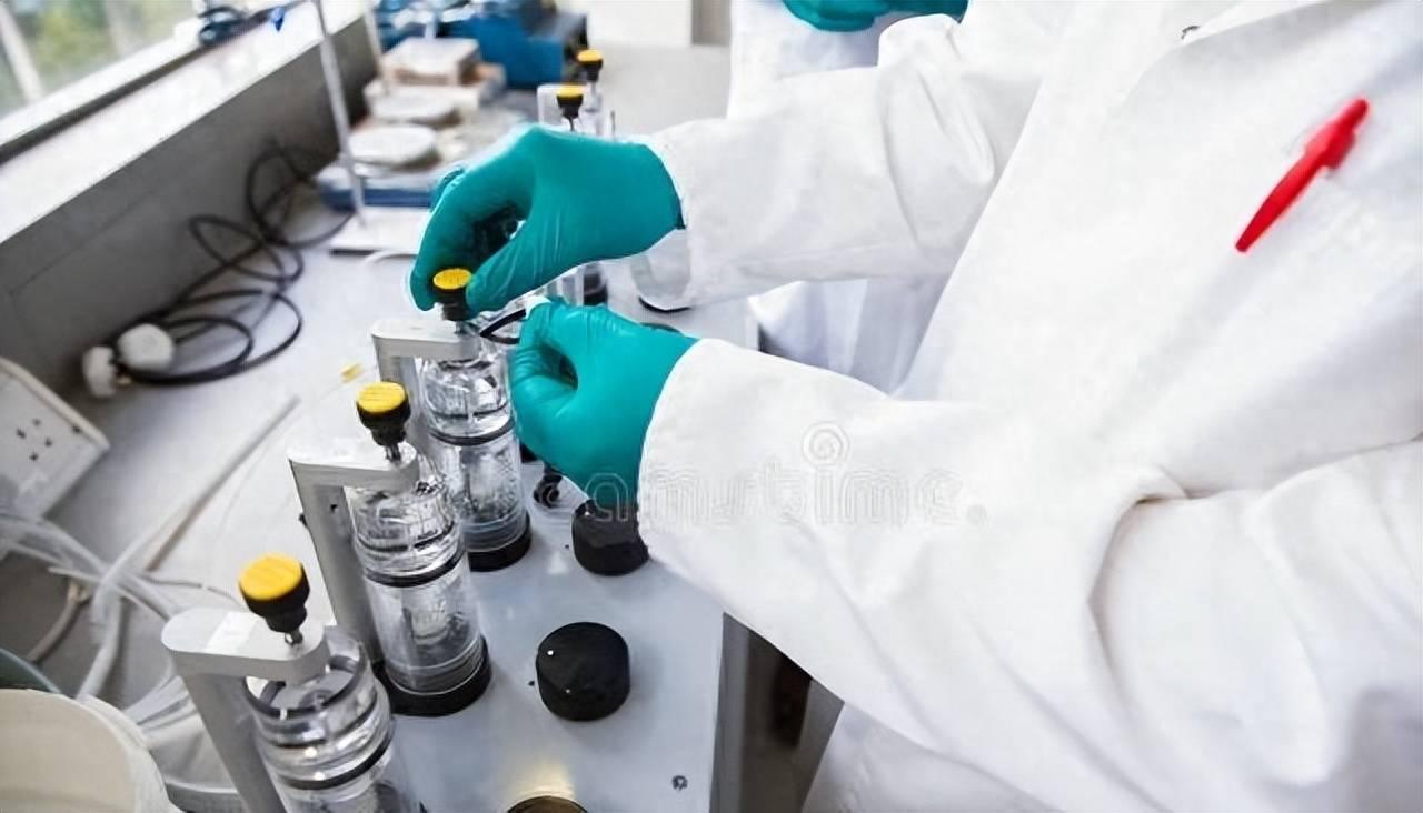 今晚生肖之谜，揭秘传统与现代娱乐的交织
