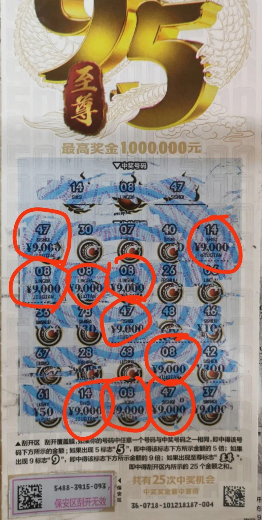 彩票至尊网，数字游戏中的智慧与梦想